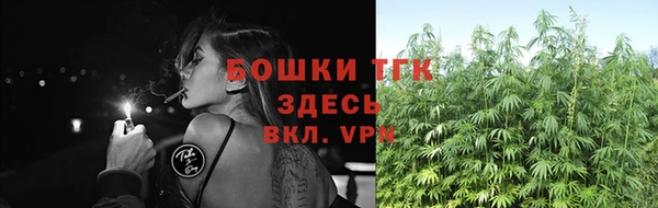 молекула духа Каменногорск