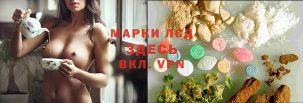 молекула духа Каменногорск