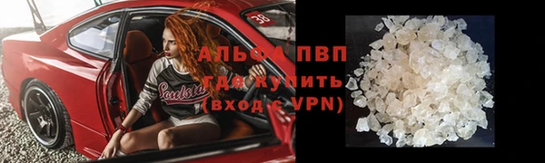 стафф Каменка