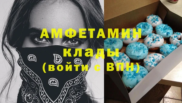 молекула духа Каменногорск