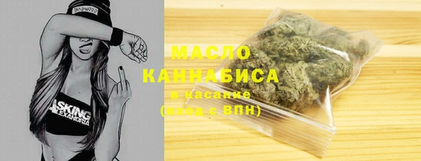 молекула духа Каменногорск