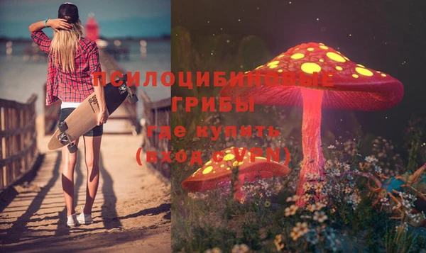 прущие крисы Иннополис