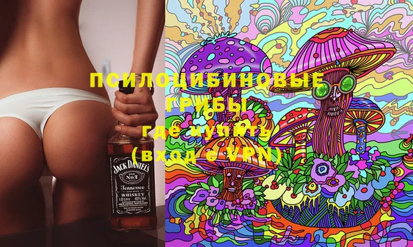 стафф Каменка