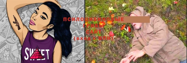 2c-b Инсар