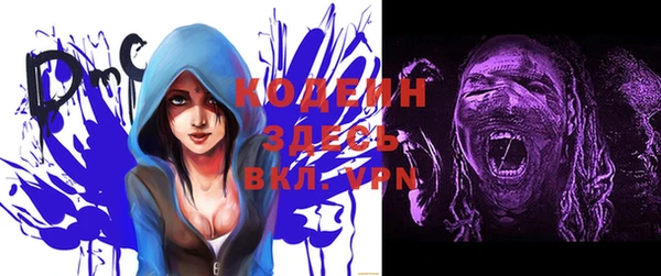 стафф Каменка