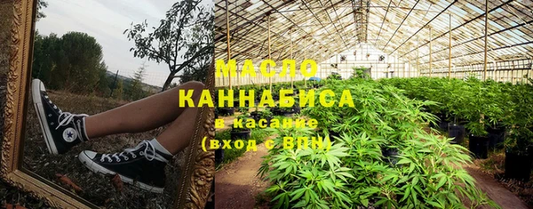 стафф Каменка