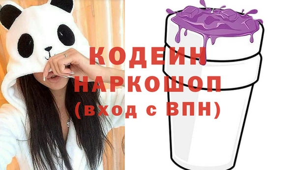 молекула духа Каменногорск
