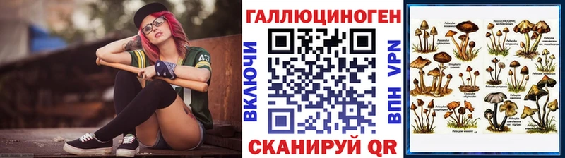Купить где  Заинск  Псилоцибиновые грибы Cubensis 